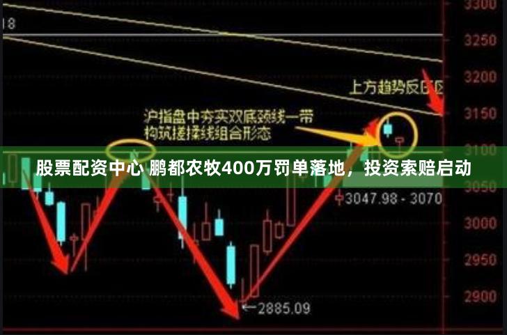 股票配资中心 鹏都农牧400万罚单落地，投资索赔启动