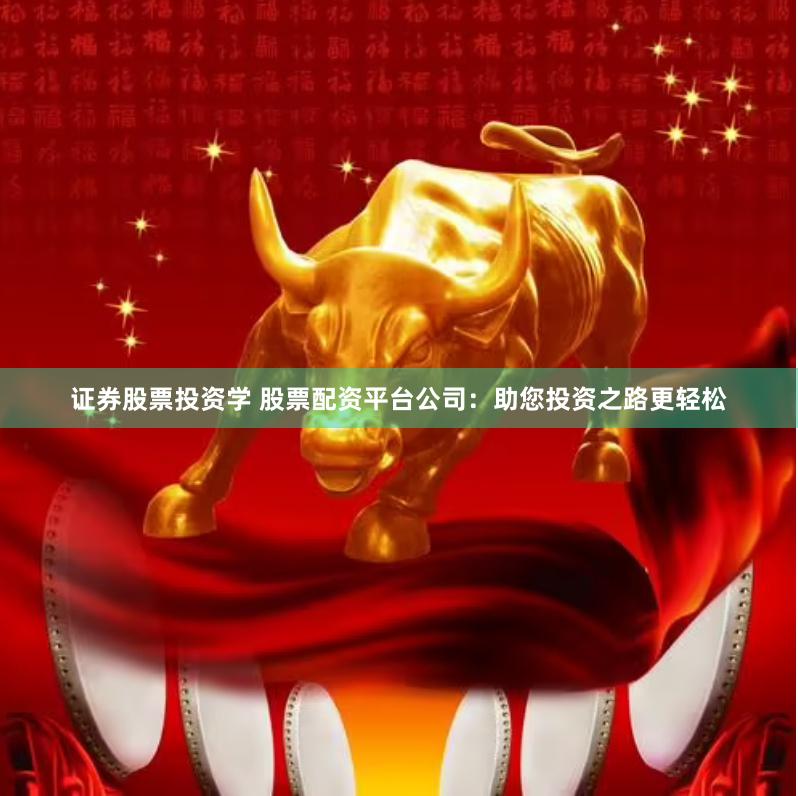 证券股票投资学 股票配资平台公司：助您投资之路更轻松